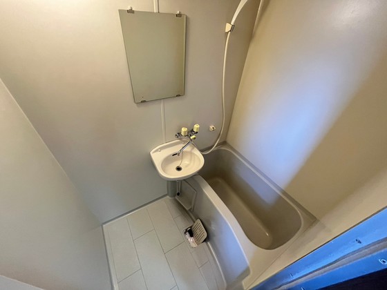 バス・シャワールーム　※別部屋の写真です