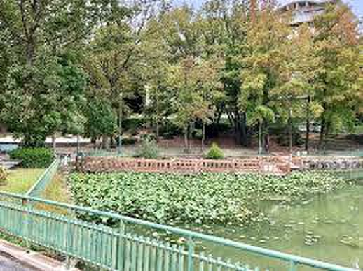 公園　神丘公園（公園）まで80m