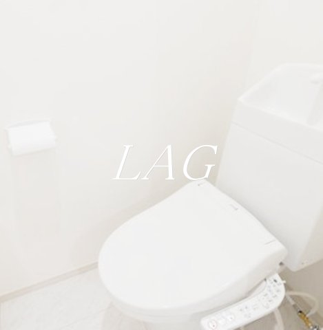 トイレ　トイレです。（同仕様です。）