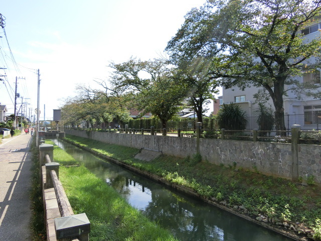 公園　真間川沿い（公園）まで300m