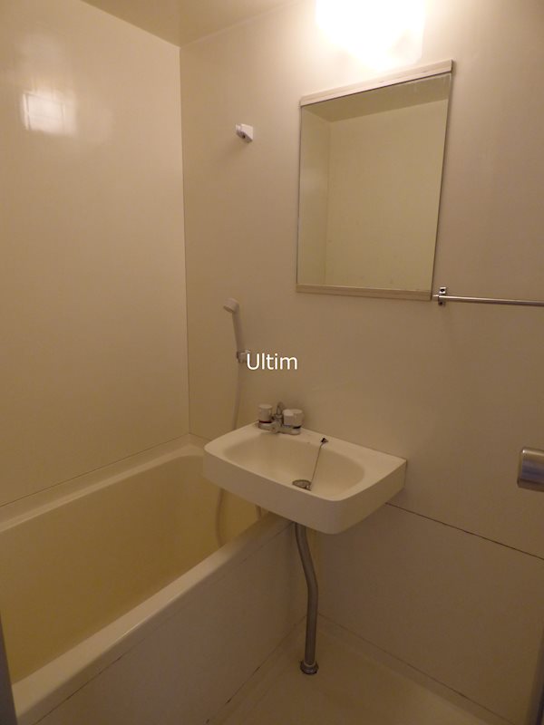 バス・シャワールーム　※同タイプの他のお部屋です