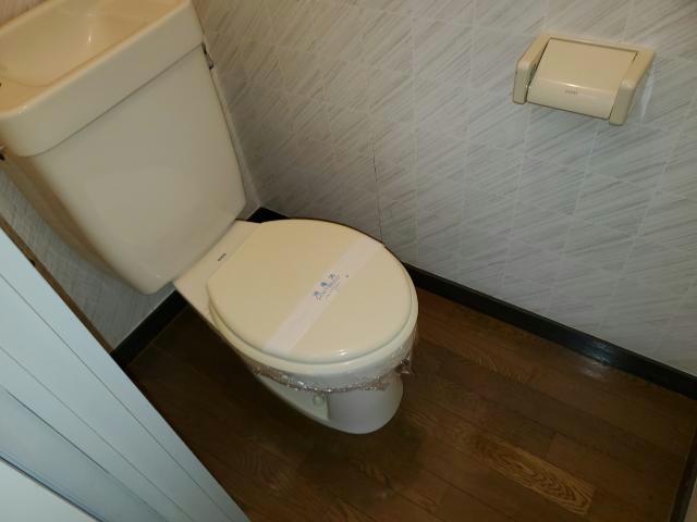 トイレ　＊リフォーム前