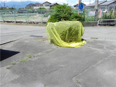 その他　（その他）まで0m