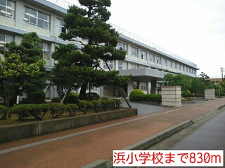 小学校　浜小学校（小学校）まで830m