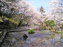 公園　与野公園（公園）まで331m