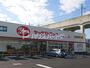 ドラックストア　ヤックスドラッグ柏たなか店（ドラッグストア）まで310m
