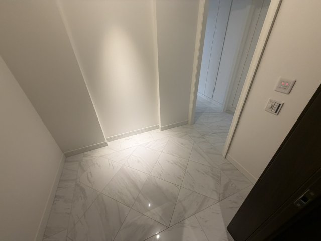 グラングリーン大阪THE NORTH RESIDENCEの玄関写真