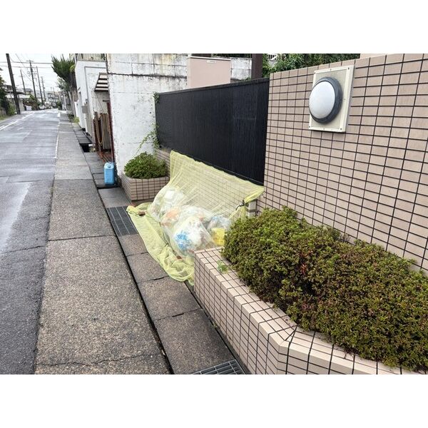 庭