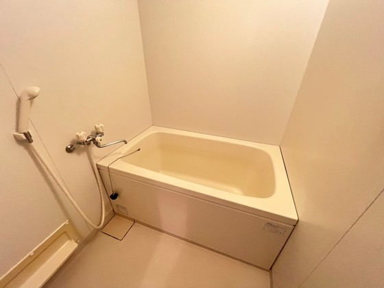 バス・シャワールーム　※別部屋の写真です