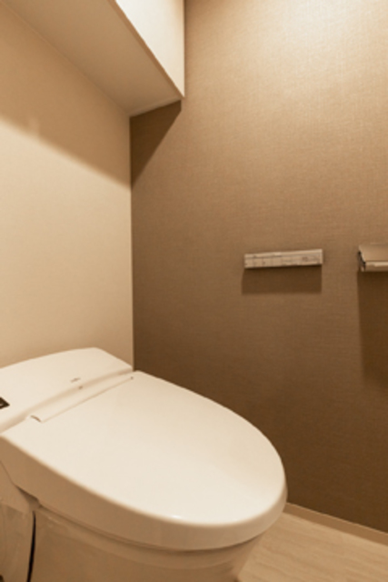 イプセ高輪台のトイレ写真