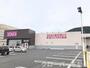 その他　コスモス土器店まで450m