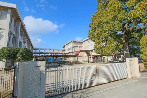 小学校　岡山市立可知小学校（小学校）まで1124m
