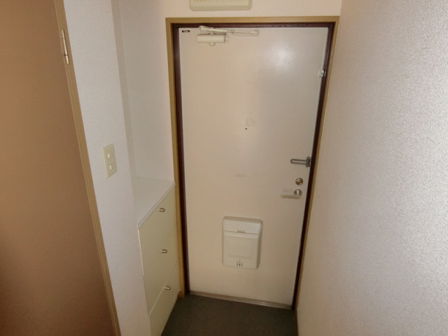 玄関　シューズボックス付き玄関