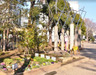 公園　玉川上水旧水路 初台緑道（公園）まで757m