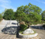 公園　新栄緑地（公園）まで1319m