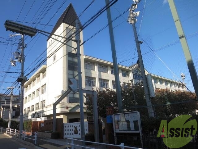 【神戸市灘区八幡町のマンションの小学校】