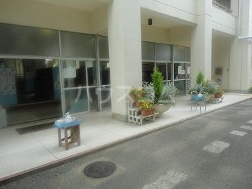 小学校　佐倉市立南志津小学校（小学校）まで3590m