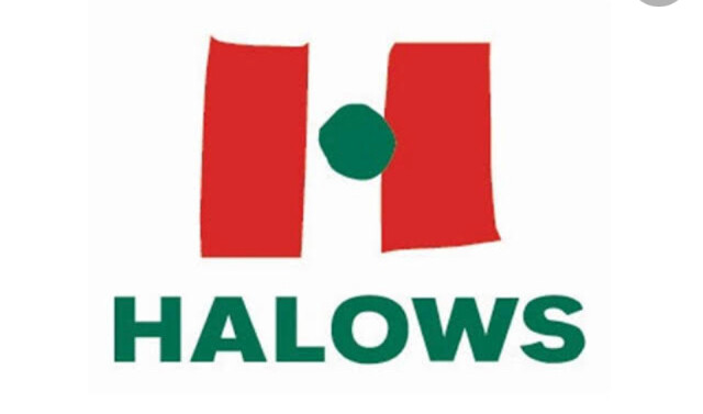 スーパー　ハローズ佐古店（スーパー）まで336m