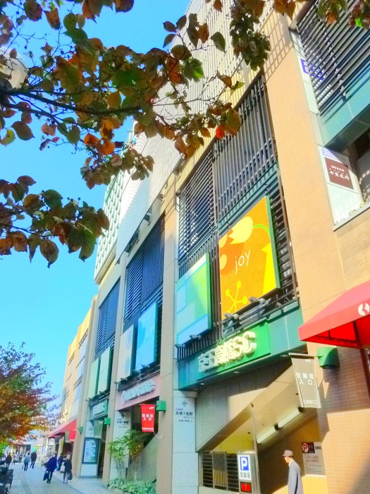 ショッピングセンター　京王ストア高幡店（ショッピングセンター）まで1300m