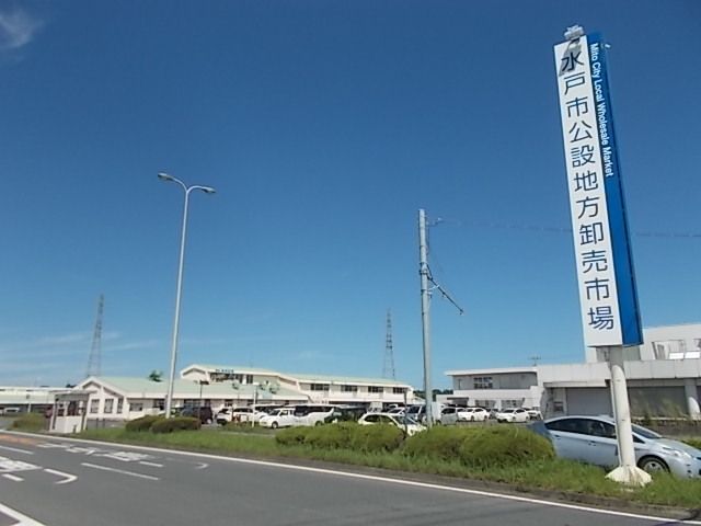 スーパー　水戸市公設地方卸売市場（スーパー）まで1100m