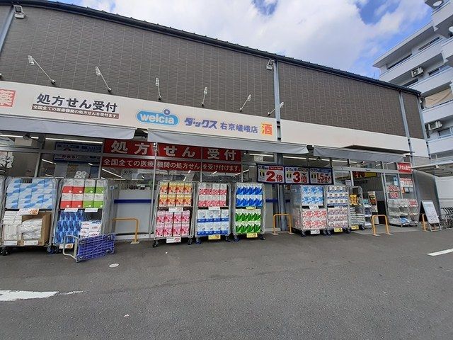 ドラックストア　ダックス右京嵯峨店（ドラッグストア）まで1966m