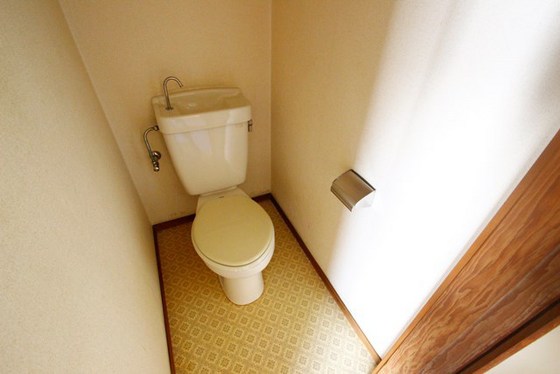 トイレ　※別号室の写真です