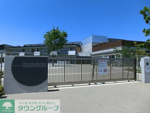 小学校　柏の葉小学校（小学校）まで800m