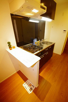 キッチン　２口コンロビルドインシステムキッチン