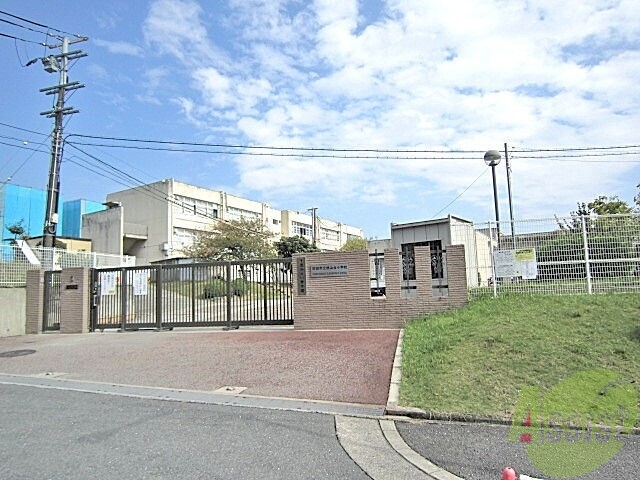 小学校　桃山台小学校（小学校）まで291m