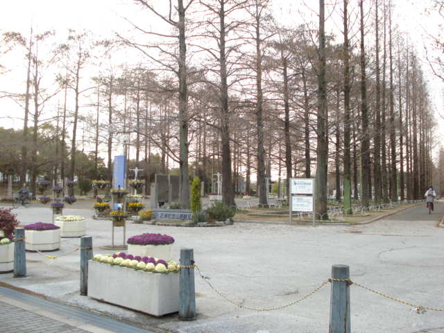 その他　鶴見緑地（その他）まで1062m