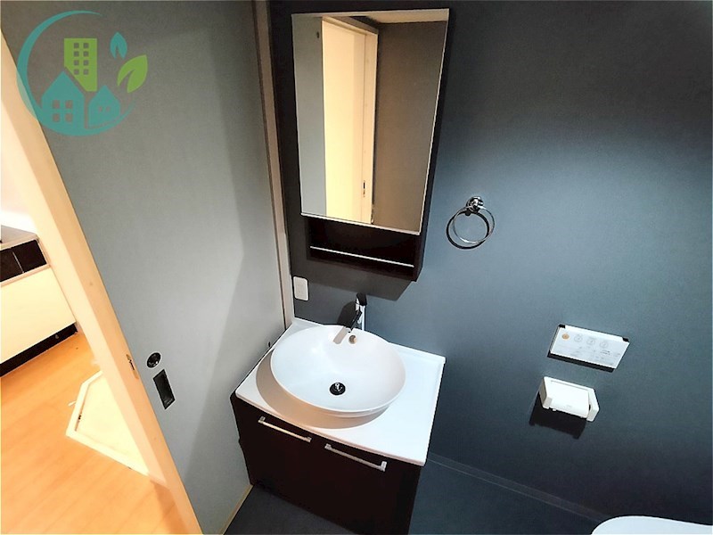 洗面設備　パロアルトII（ネット無料物件）