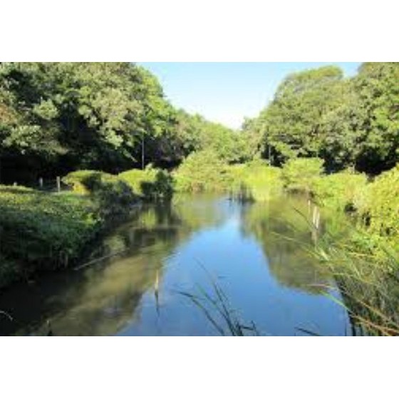 ドラックストア　サンドラッグフィルタウン小豆餅店（ドラッグストア）まで640m