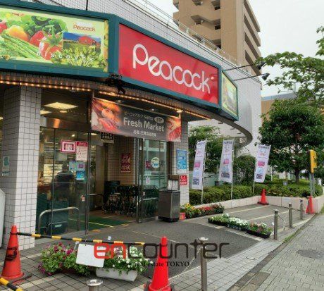 スーパー　ピーコックストア桜新町店（スーパー）まで540m