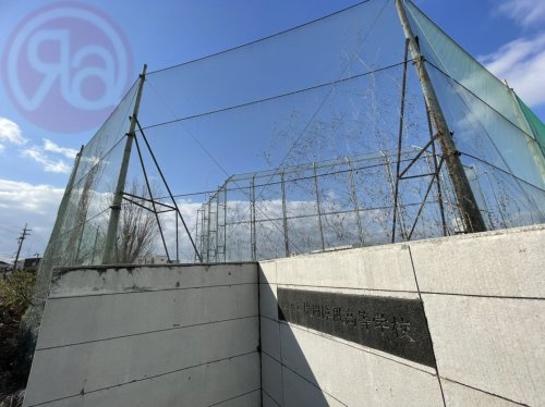 高校・高専　大阪府立枚岡樟風高等学校（高校・高専）まで648m