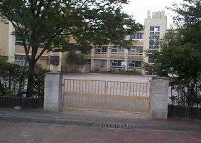 小学校　金町小学校（小学校）まで913m