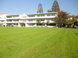 小学校　西東京市立柳沢小学校（小学校）まで613m