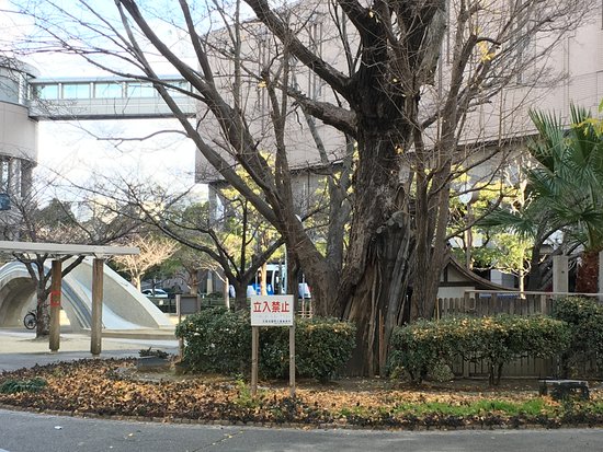 公園　東天満公園（公園）まで676m