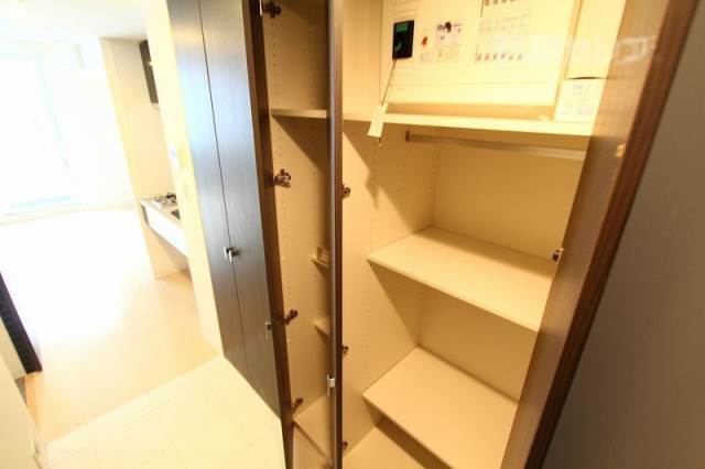 収納　クローゼットでも物入れとしても利用可能な収納