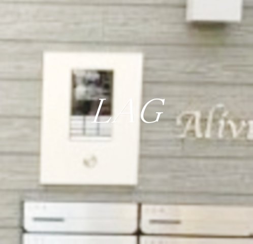 セキュリティ　オートロックです。