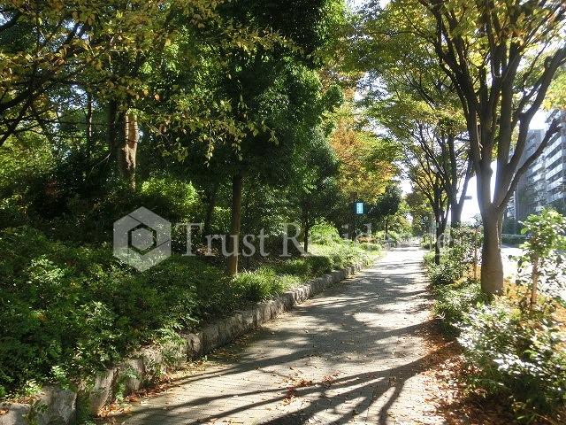 公園　木場公園（公園）まで712m