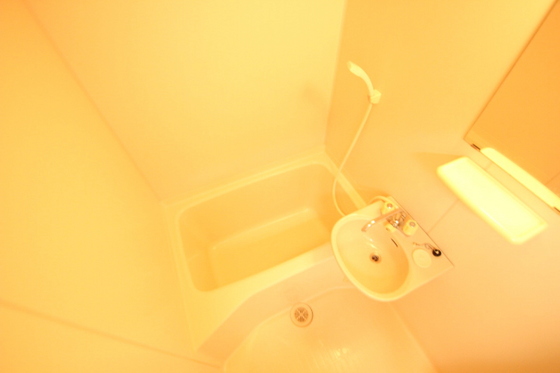 バス・シャワールーム　※別部屋の写真です