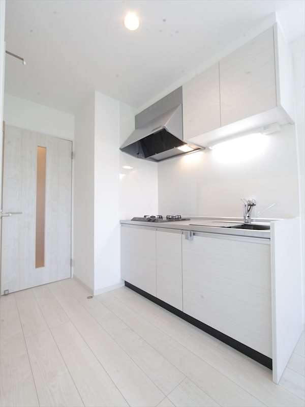 キッチン　システムキッチン（ガス2口コンロ）収納充実しています