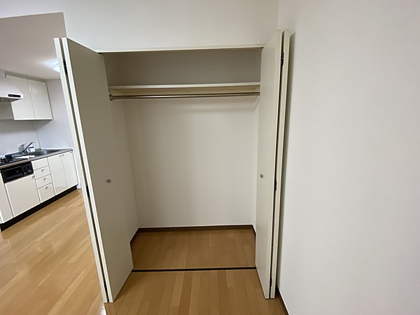 収納　※別部屋の参考写真です。