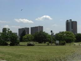 公園　難波宮跡公園（公園）まで489m