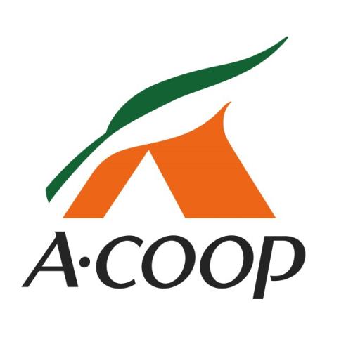 スーパー　（株）エーコープ関東／本社（スーパー）まで1170m