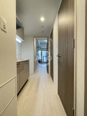 その他　エスリードレジデンス大阪本町　廊下