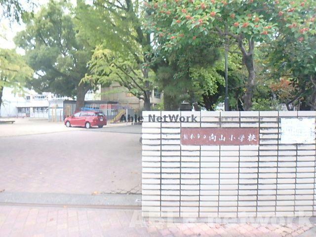 小学校　熊本市立向山小学校（小学校）まで402m