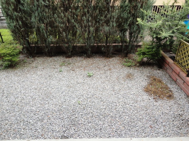 庭　図面と現状に相違がある場合には現状を優先