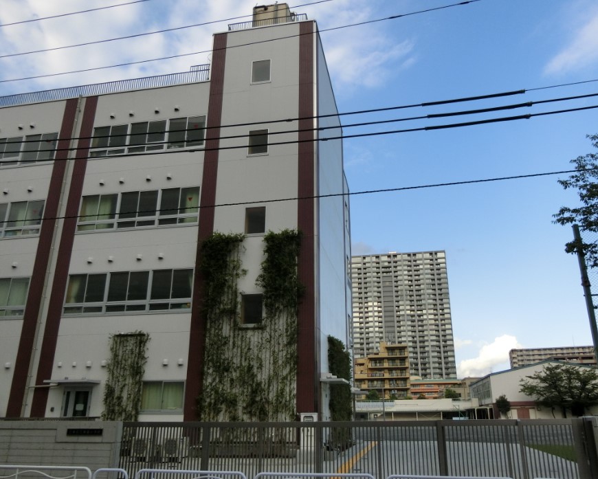 小学校　江東区立東雲小学校（小学校）まで360m