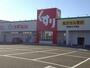 ドラックストア　スギ薬局 平坂店（ドラッグストア）まで1200m